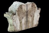 Petrified Wood Bookends - McDermitt, Oregon #95971-2